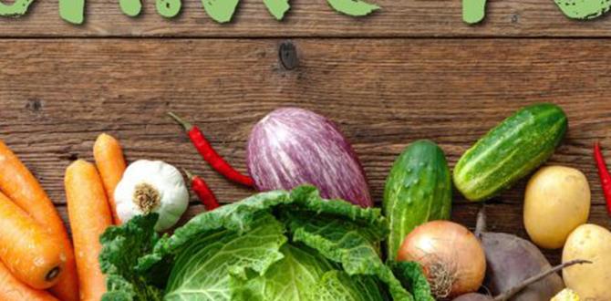 organic dog immune boost plan