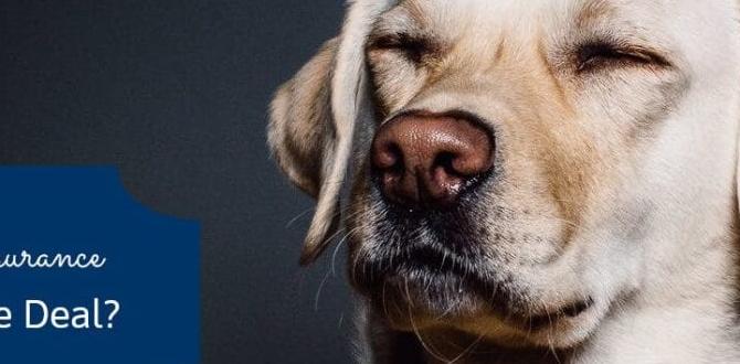 organic dog insurance forum