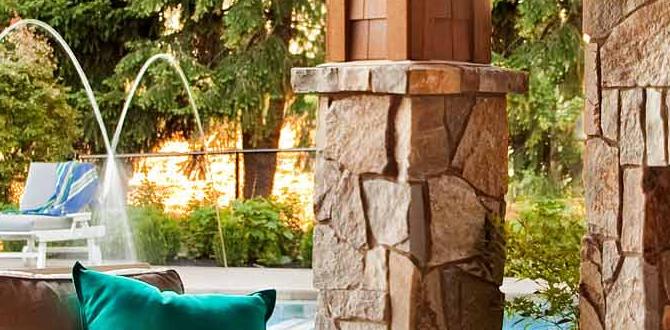 outdoor dog shelter vs cat