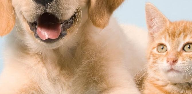 pet safe garden plants