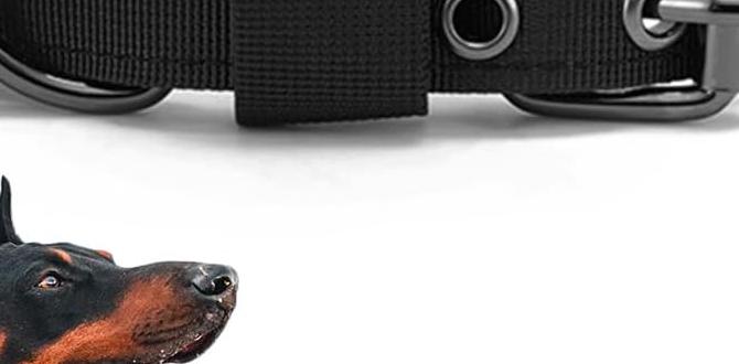 portable dog collar for large dogs