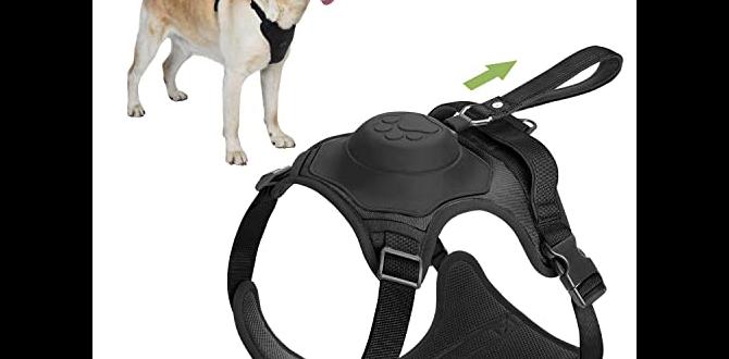 portable dog harness buy online
