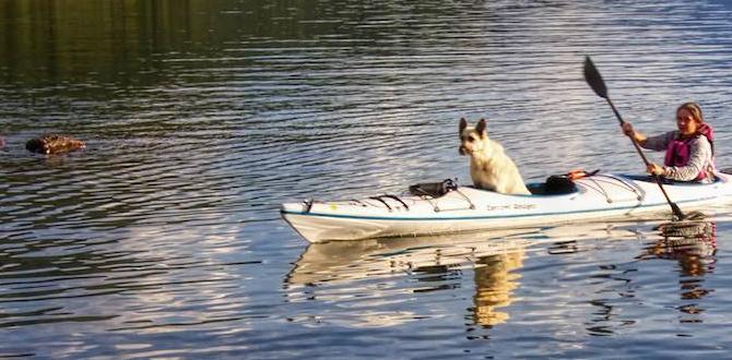 reasons to dog friendly kayak destinations