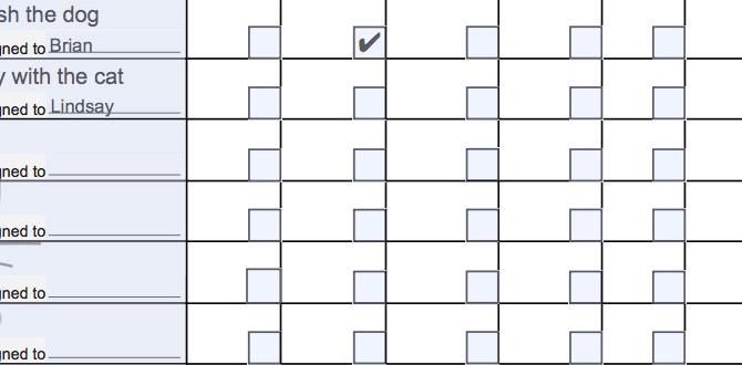 recommended dog schedule