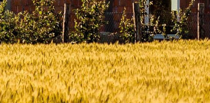 rural tourism pyrenees