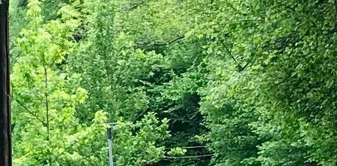 self guided pyrenees tours