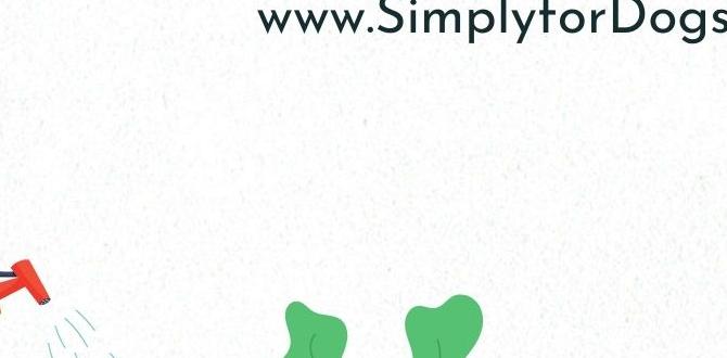 sniffer dog daily routine