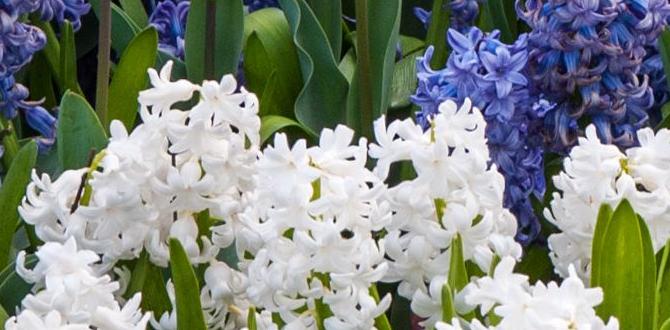 spring weather pyrenees