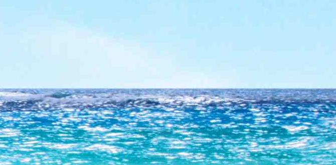 summer gardening tips with dogs