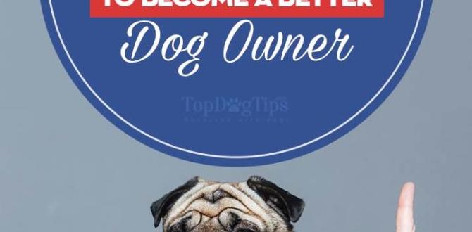 tips dog brush Reddit