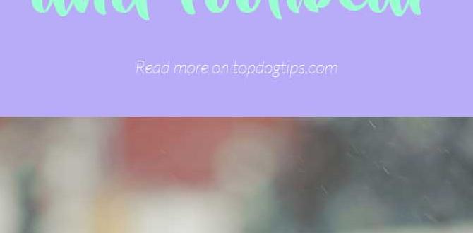 tips dog clothes vs cat