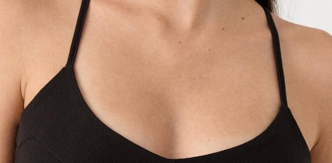 top raw dog food for yorkies