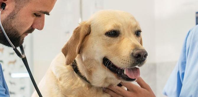 vet approved canine wellness treatment