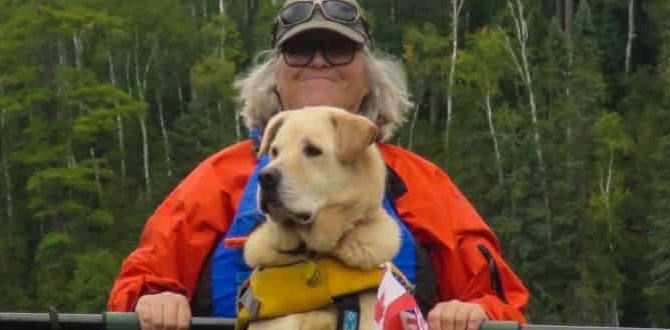 ways to can my senior dog go kayaking with dogs