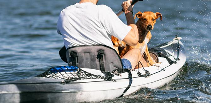 ways to kayaking with dog checklist with dogs