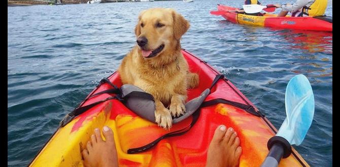 ways to kayaking with multiple dogs with dogs