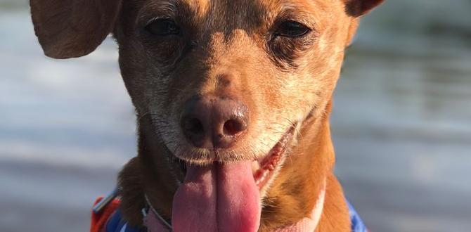 when to kayaking with a puppy