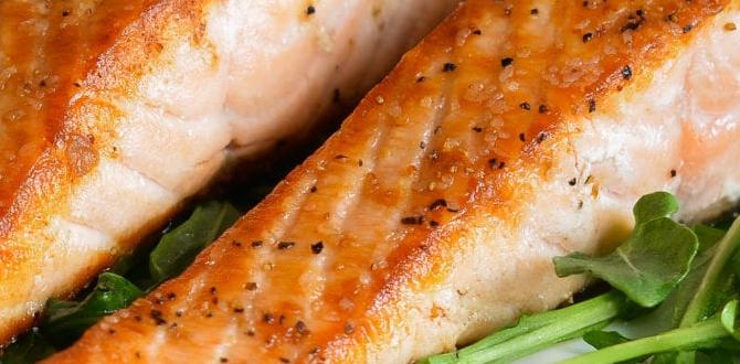 with salmon dog food for large breeds for labradors